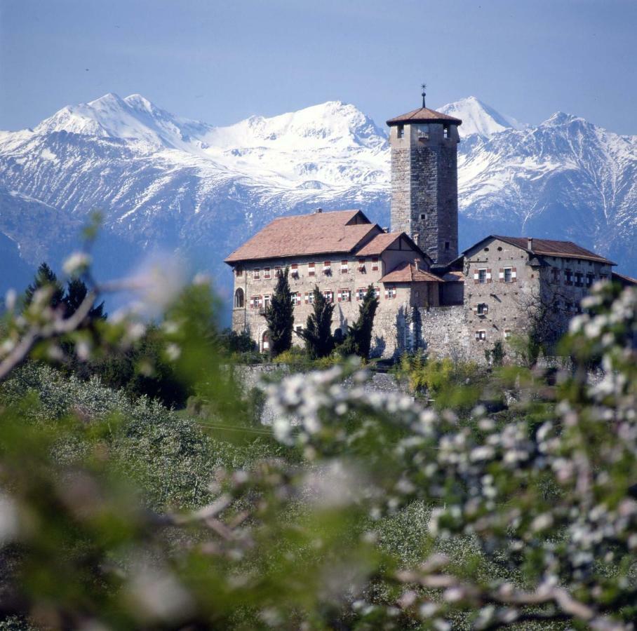 Cinzia Dolomiti Del Brenta Apartment Tassullo Bagian luar foto